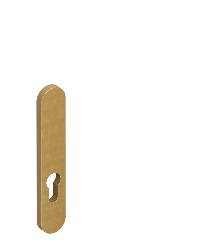 Rozeta pre cylindrickú vložku hlavných dverí F3 (na špeciálnu objednávku)