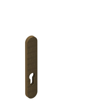 Rozeta pre cylindrickú vložku hlavných dverí F4
